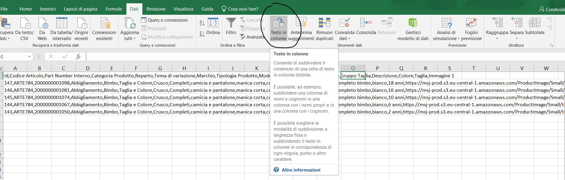 csv.JPG