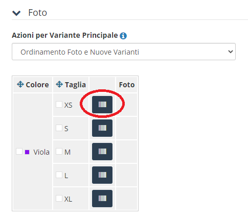 Cattura.PNG